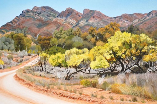 Acacias-in-Flower-Moralana-Scenic-Drive-800x531Kevin waters