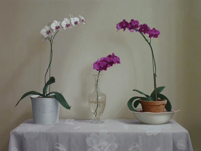 Renato Meziat, (Brasil, 1952) Orchids on a Table, Ost, 2013, 34 x46 inches