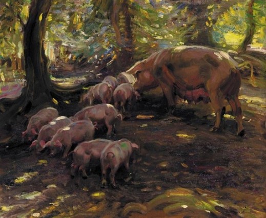 porcos no bosque